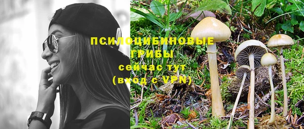 гидропоника Сосновый Бор