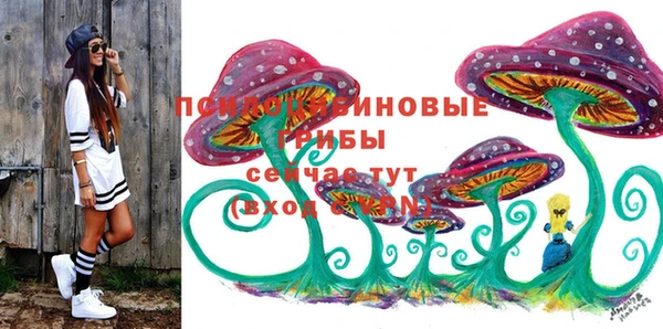 Альфа ПВП Сосновоборск