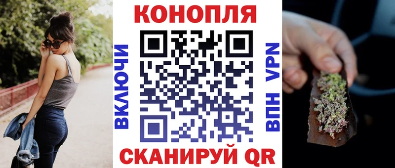 Канабис гибрид  Купить где  Кедровый 